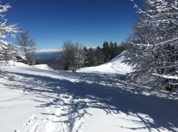 Randonnée Raquettes à neige Saint-Étienne-les-Orgues - Crête les Cavalets - Photo