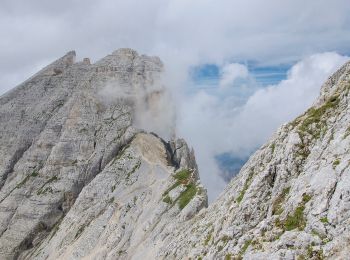 Randonnée A pied Deutschnofen - Nova Ponente - Dolomiti 18 - Photo