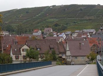 Tocht Te voet Vaihingen an der Enz - Riedberg Rundweg - Photo