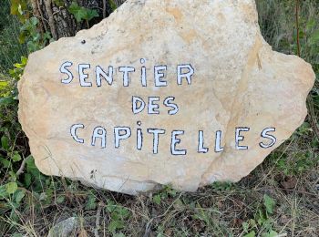 Trail Walking Bernis - Capitelles de Bernis - Photo