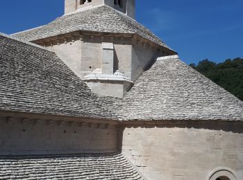 Randonnée Marche Gordes - abbaye de Senanque par les dilais  - Photo