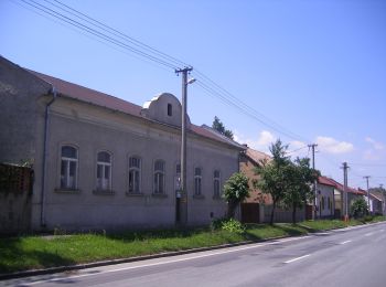 Percorso A piedi Hont - K+ (Parassapuszta - Dobogó-hegy) - Photo