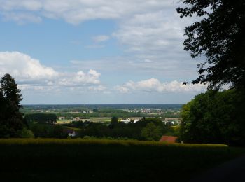 Tour Zu Fuß Preußisch Oldendorf - Nordic Walking Route 