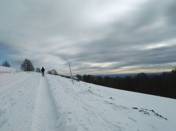 Tour Schneeschuhwandern Lepuix - Wissgrut - Photo