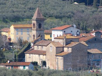 Randonnée A pied Calci - 