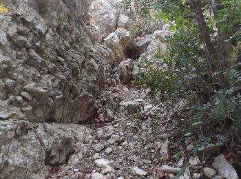 Randonnée Marche Toulon - grotte Chelot et Croupatier - Photo