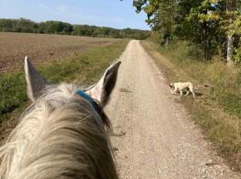 Trail Horseback riding Saint-Martin - Bois chazelle Verdenal domevre Aline yoigo  - Photo