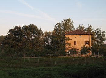 Randonnée A pied Travacò Siccomario - Anello del Siccomario - Photo