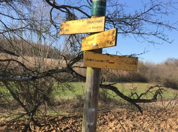 Tour Wandern Marcy - Marcy - Photo