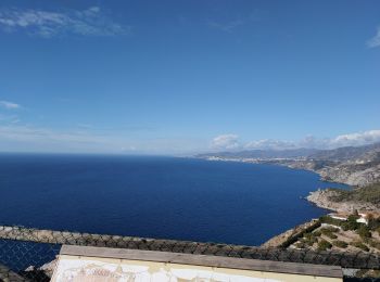 Tour Wandern Almuñécar - Cerro Gordo 3 - Photo