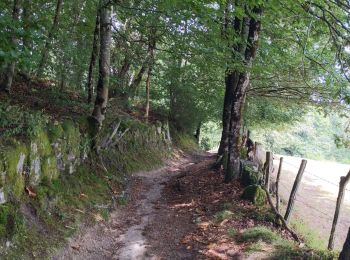 Tour Wandern Estaing - Compostelle / Chemin du Puy : de Estaing à Espeyhrac - Photo