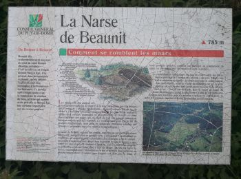 Trail Walking Charbonnières-les-Varennes - Beaunit. Entre Suc et Puys - Photo