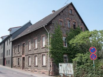 Tour Zu Fuß Ober-Ramstadt - Ortsrundwanderweg Ober-Ramstadt 3 - Photo