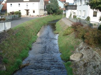 Excursión A pie Walldürn - Rundwanderweg Schneeberg 3: Gottersdorf-Weg - Photo