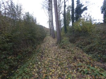 Trail On foot Villers-le-Bouillet - FIZE 2019-11-11 - Photo