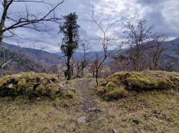 Randonnée Marche Kruth - chemin direct wildenstein et chateau - Photo