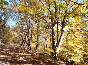 Trail Walking Aubignosc - artignosc. Le pas de richaud depuis  l antenne  - Photo