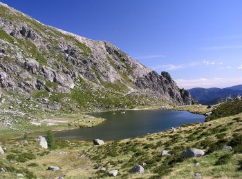 Percorso A piedi Bieno - IT-E366 - Photo