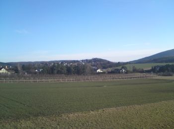 Tocht Te voet Gemeinde Alland - Mayerling - Preinsfeld - Siegenfeld - Gaaden - Photo