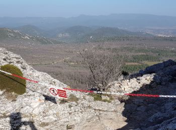 Randonnée Marche Riboux - Sainte Baume par Riboux - Photo