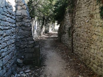 Randonnée Marche Seynes - Le mont buquet - Photo