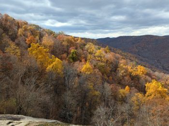Percorso Marcia  - Crabtree falls Virginia - Photo