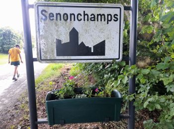 Tour Wandern Bastnach - Marche 10 km 500 à Senonchamps. - Photo