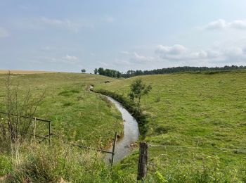 Trail Walking Jonchery - Val de Bonnevaux  - Photo