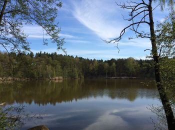 Tour Zu Fuß Märkisch Buchholz - Rundwanderweg Köthener Heideseen - Photo