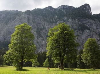 Randonnée A pied Liezen - Zur kleinen Schale-Runde - Photo