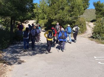 Trail Walking Plan-de-Cuques - la Montade Château gombert  - Photo