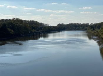 Excursión Senderismo Dendermonde - Dendermonde Kastel 17,8 km - Photo