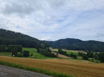 Excursión Bicicleta híbrida La Neuveville-devant-Lépanges - Sortie vélo 21 juillet  - Photo