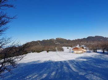 Tocht Sneeuwschoenen Léoncel -  Grand Echaillon-Chovet-Col de la Bataille 10km - Photo