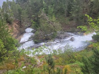 Tour Wandern Jausiers - cascadede pissoun 24 06 2024 - Photo