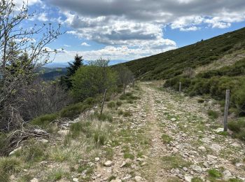 Trail Walking Loubaresse - Loubaresse Nord 5,2 km - Photo