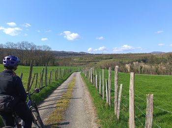 Percorso Mountainbike Vinay - Vinay-Cognin-Izeron - Photo