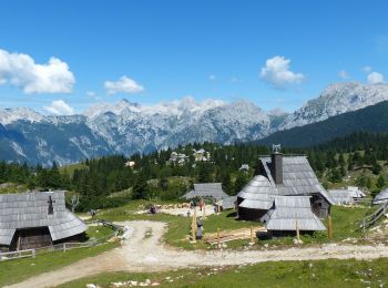 Randonnée Marche Kamnik - Velika Planina Slovénie randonnée - Photo