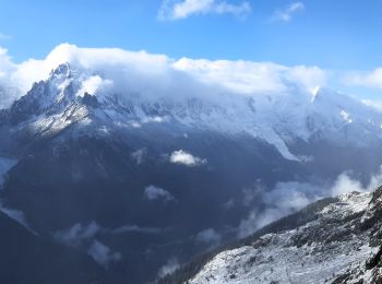 Tour Wandern Chamonix-Mont-Blanc - Le tour des Aiguilles Rouges : J3 - Photo