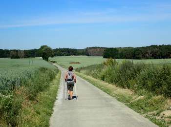 Randonnée A pied Grez-Doiceau - #200601 - Hèze, Longueville et Bois de Glabais*** - Photo