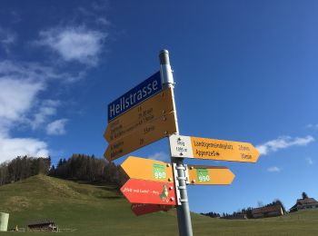 Trail On foot Appenzell - Pfeff ond Lischt - Photo