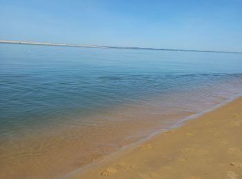 Excursión Senderismo La Teste-de-Buch - Dune du Pilât 9.4.23 - Photo