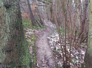 Randonnée Trail Jemeppe-sur-Sambre - Boucle de l'Epicurienne - Photo