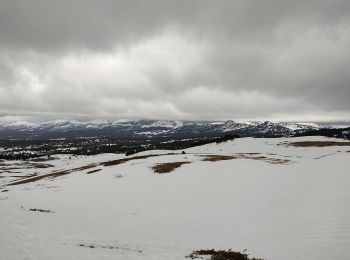 Excursión Raquetas de nieve Saint-Agnan-en-Vercors - raquettes Col du rousset - Photo