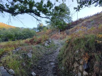 Trail Walking Arnave - Les 4 cols autour d'Arnave - Photo
