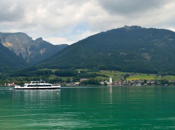 Randonnée A pied Strobl - Seeuferweg Strobl-Abersee - Photo