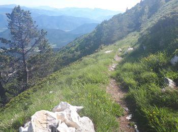 Trail Walking Vassieux-en-Vercors - But Saint Genix par les cols de Vassieux, La Chau, les pas de Bouillanain et Florent - Photo