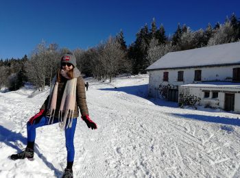 Tocht Sneeuwschoenen Le Valtin - Col de la Schlucht - Photo