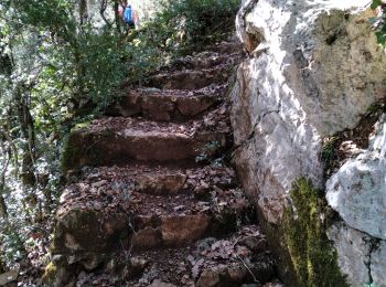 Tocht Stappen Saint-Julien - Boucle du lac (grand format) - Photo