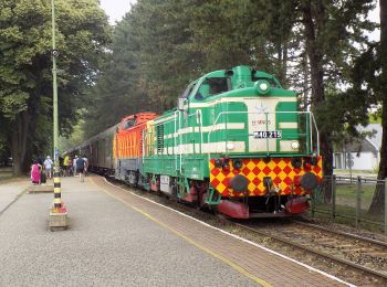 Percorso A piedi Badacsonytomaj - K▲ (Kisfaludy-kilátó) - Photo